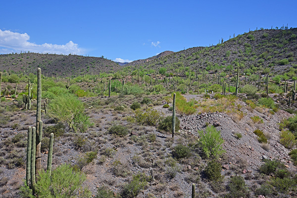 Continential Mountain Estates Lot 4
