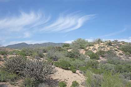 Rancho Santa Fe Del Oro