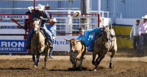 Parada del Sol Rodeo | March 7-10, 2019