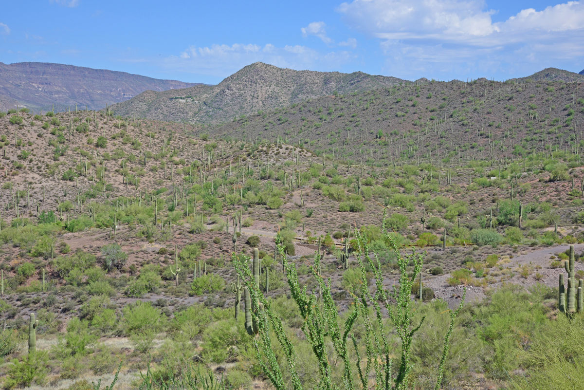 Continental Mountain Estates Lot 7