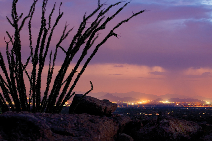 Esperanza Estates